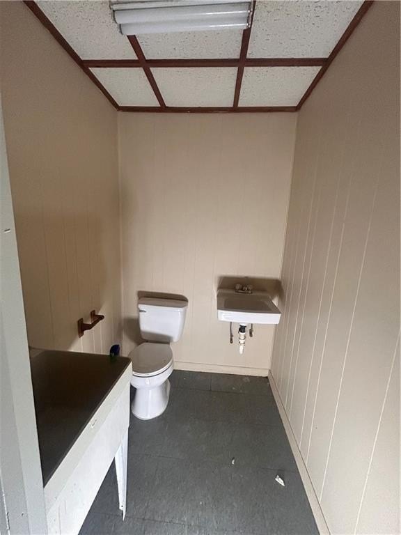 Picture 12