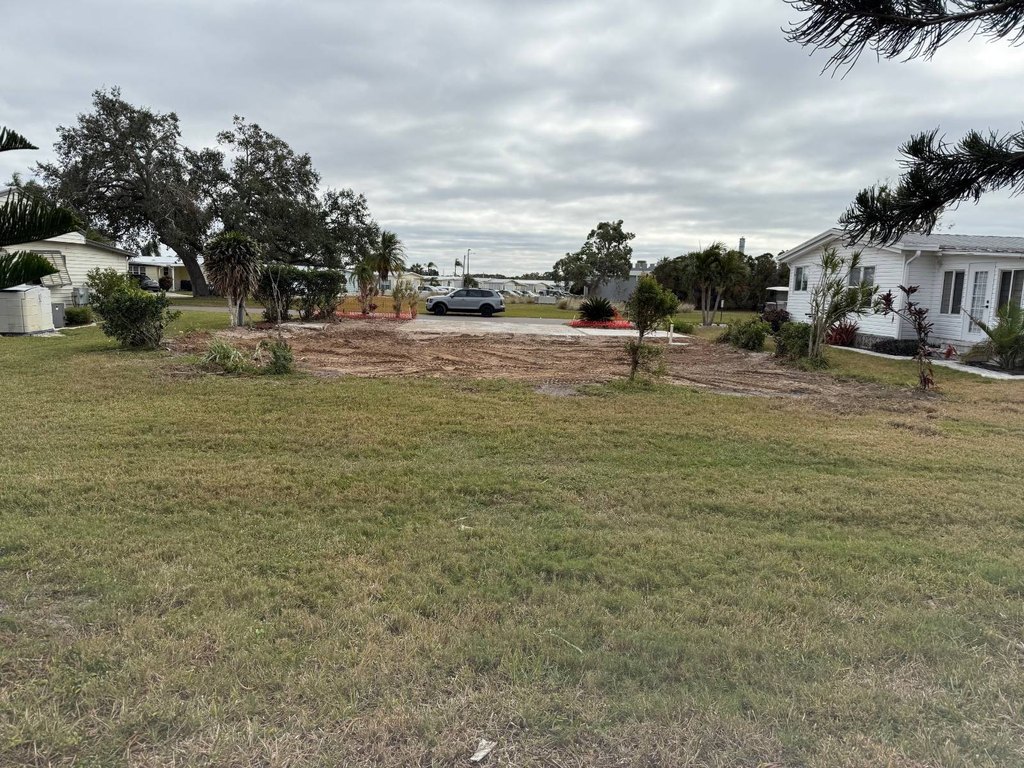 Picture 10