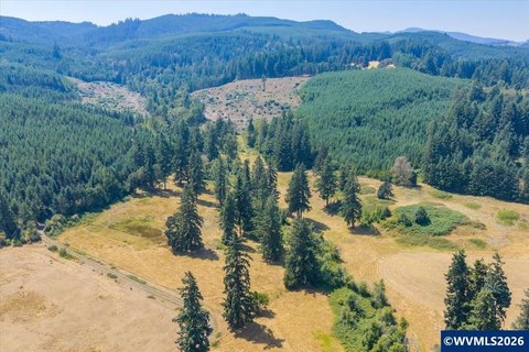 LAND - Sweet Home, OR