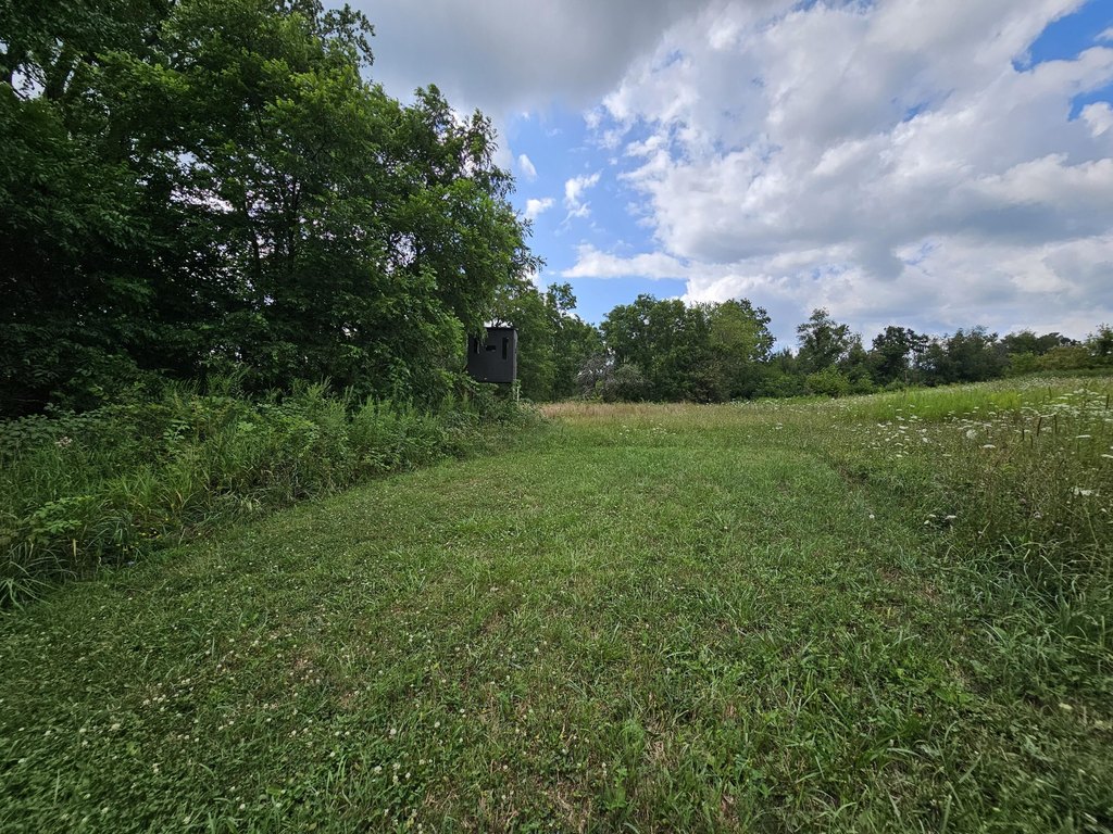 Picture 14