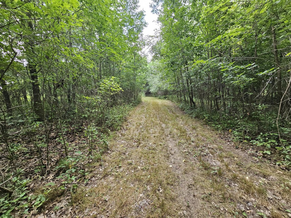 Picture 24