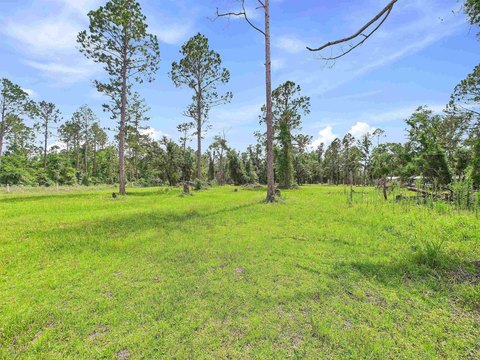 LAND - Perry, FL