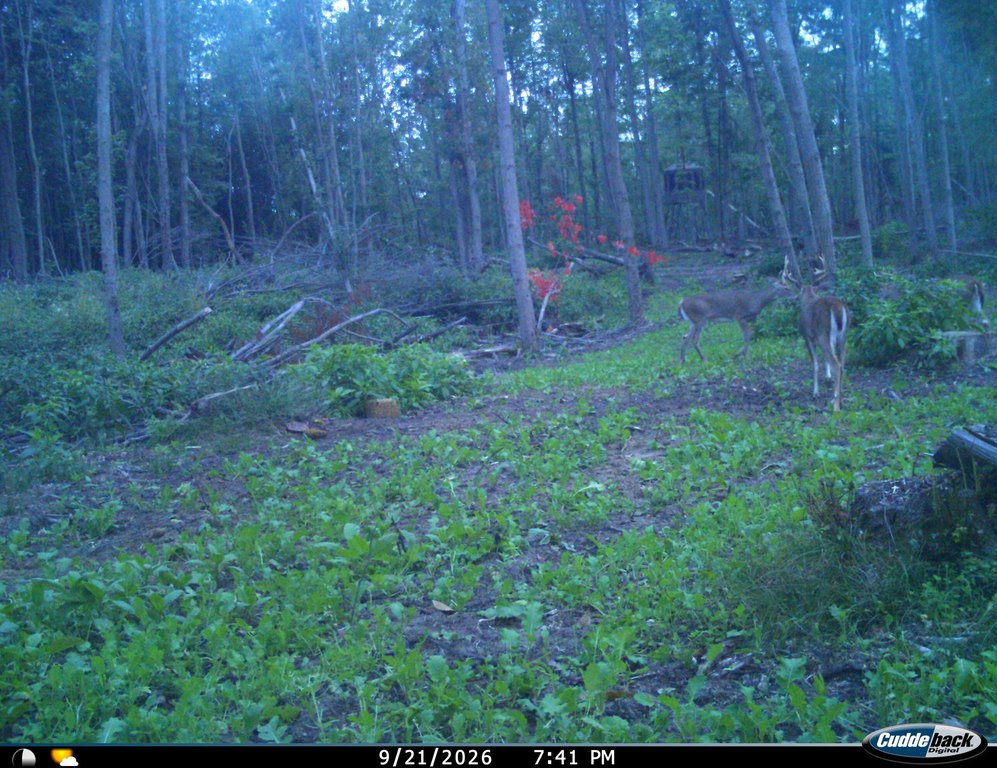 Picture 48