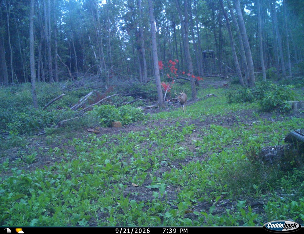 Picture 47