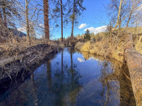 Mill Creek Waterfront Land