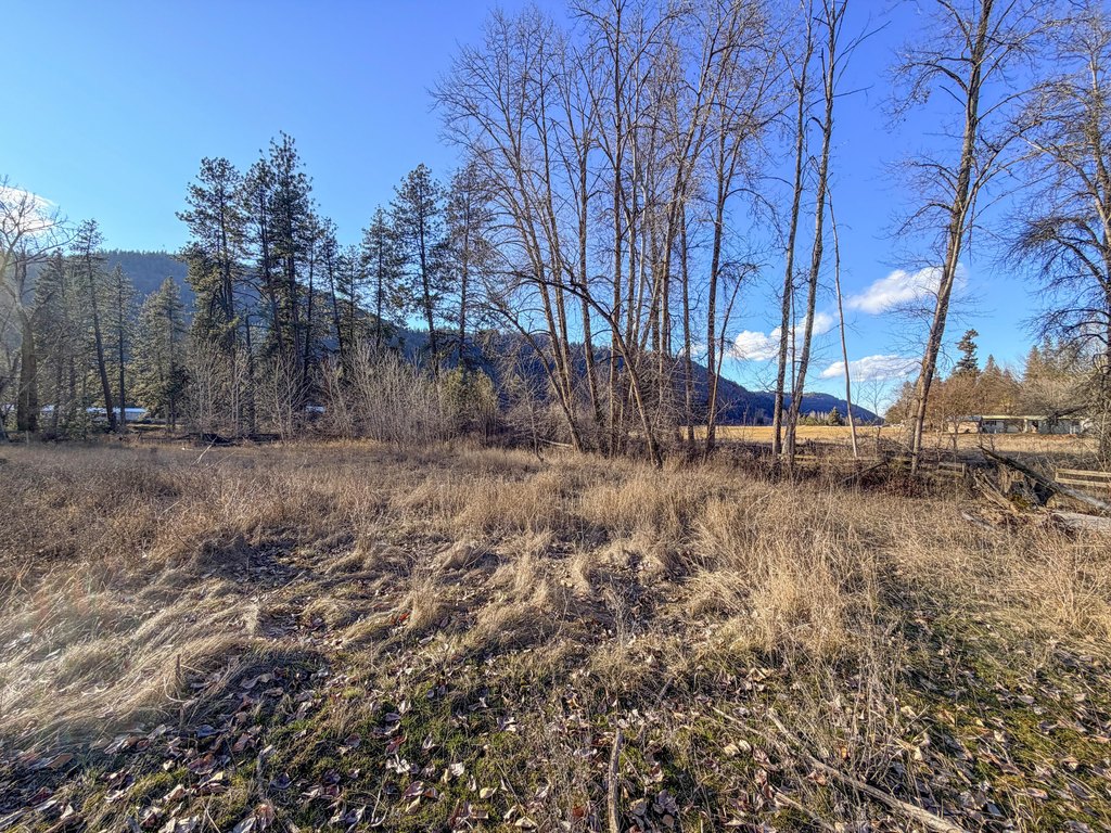 Picture 18