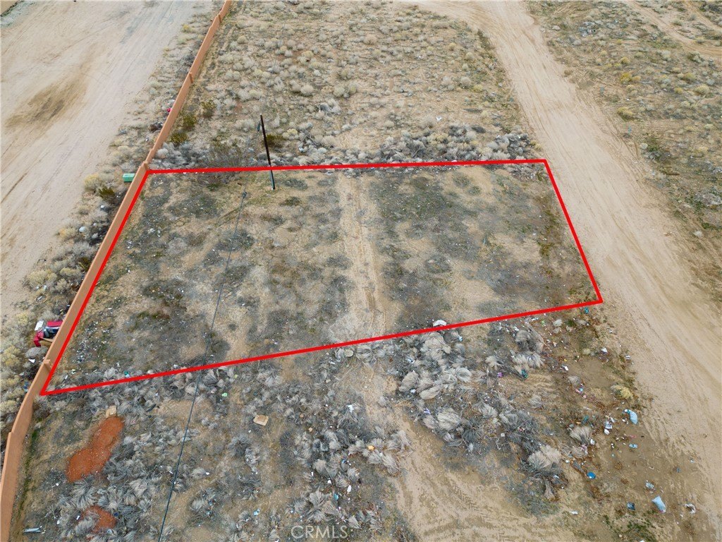 Picture 5