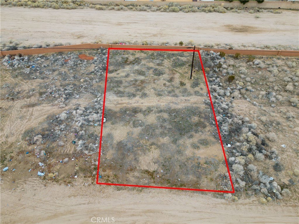 Picture 6