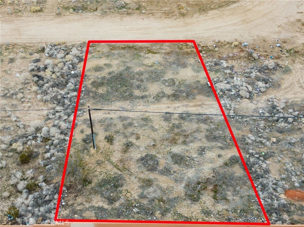 Picture 4
