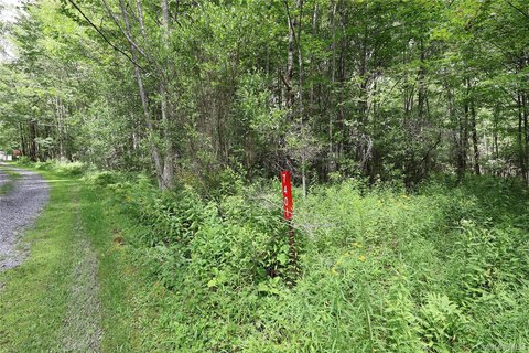 Land, Arkville, NY