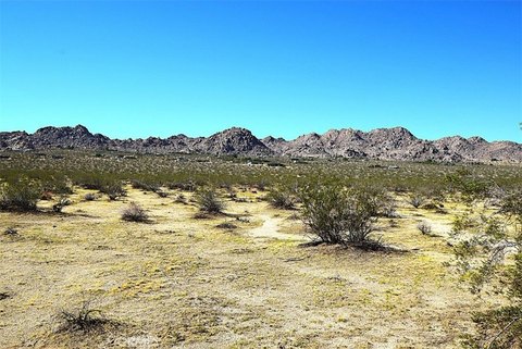 Land, Joshua Tree, CA
