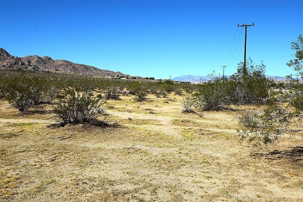 Picture 10