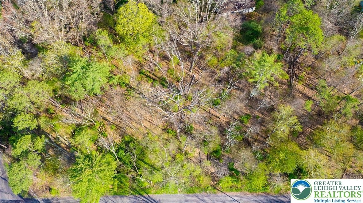 Wooded Land in Winona Lakes