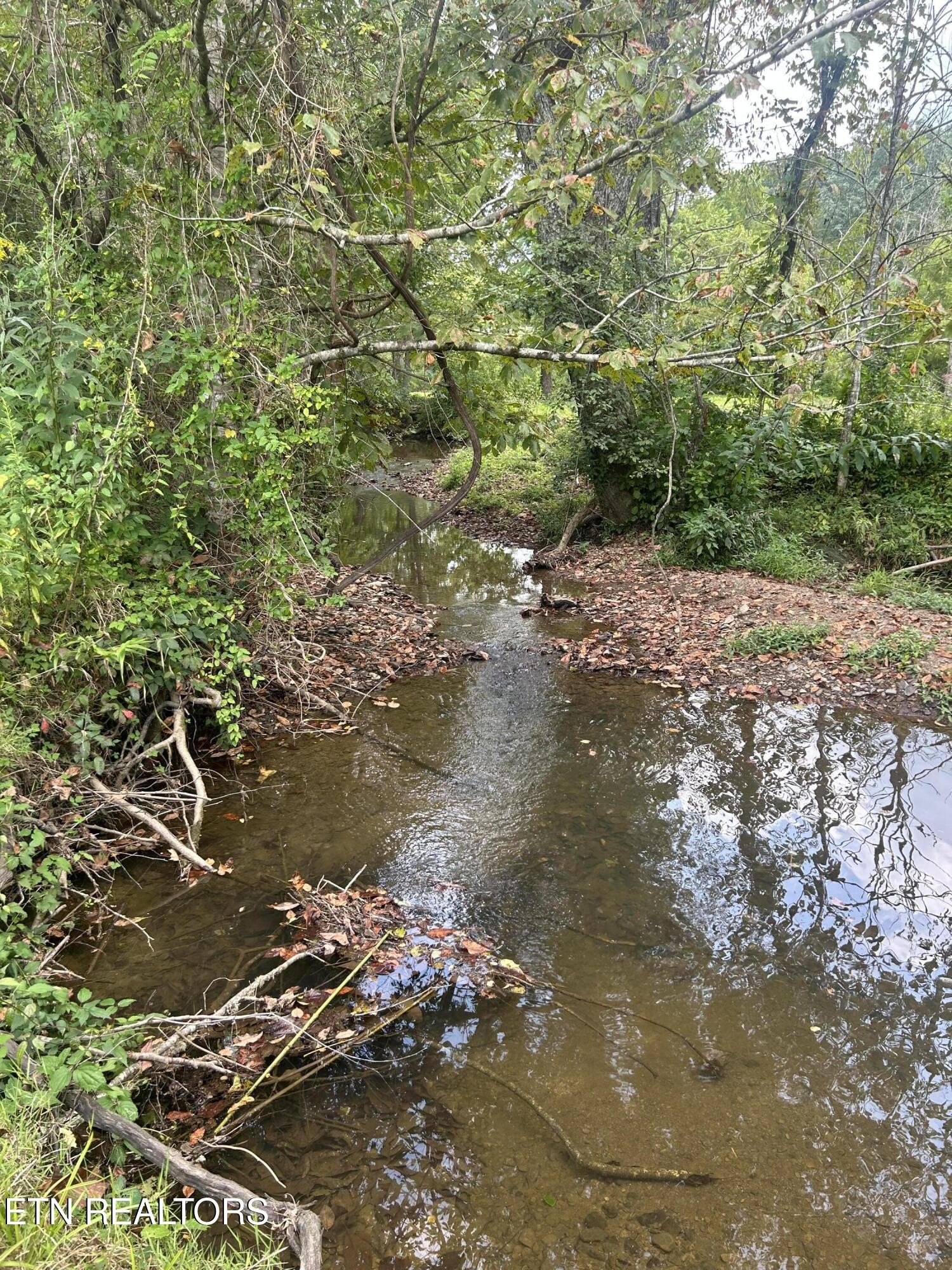40.6 Acres of Natural Beauty