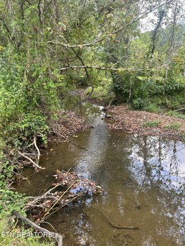 40.6 Acres of Natural Beauty