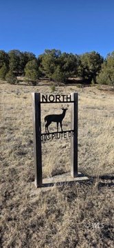 Mountain Land with Wet Mountain Views