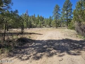 Heber, AZ Land Parcel