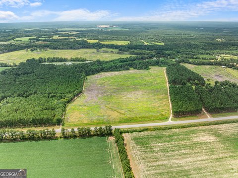 Undeveloped Land on Highway 301