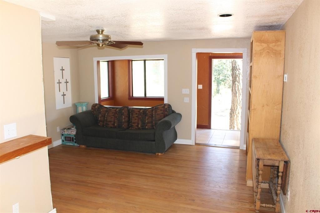 Picture 12
