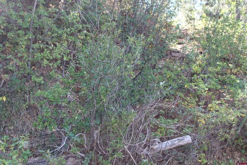 Picture 45