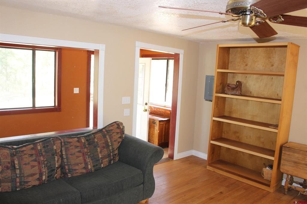 Picture 15