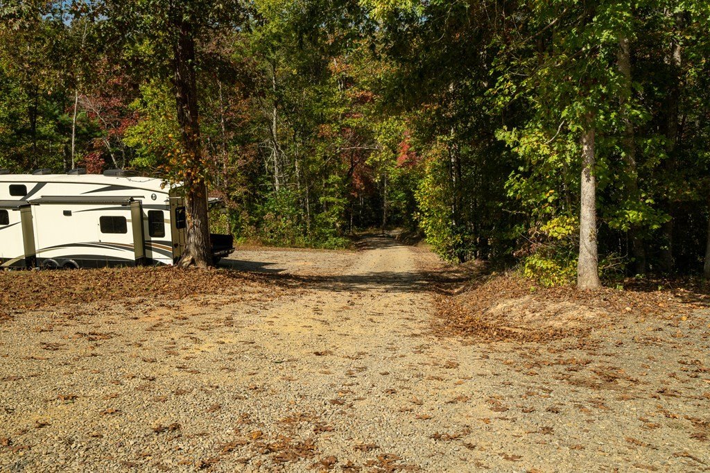 Picture 21