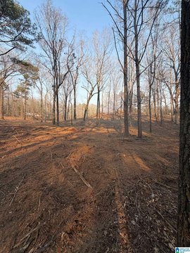 LAND - LINCOLN, AL
