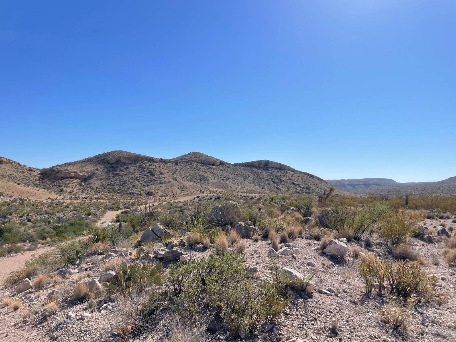 80 Acres with Mountain Views
