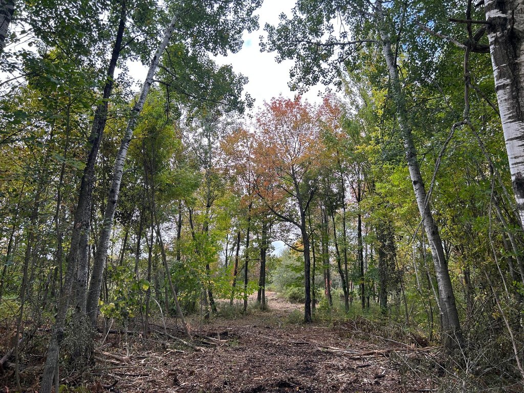 Picture 3