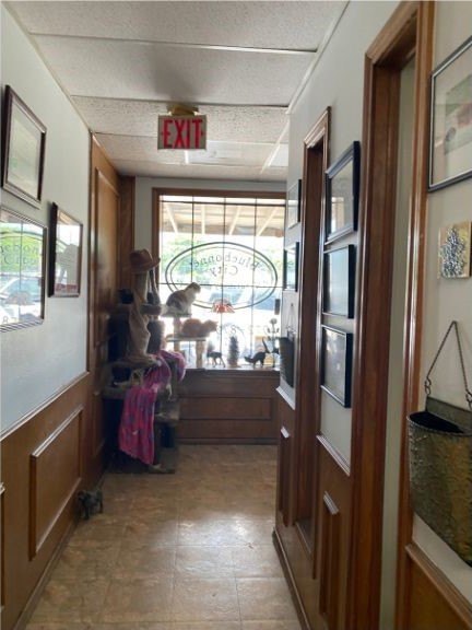 Picture 2