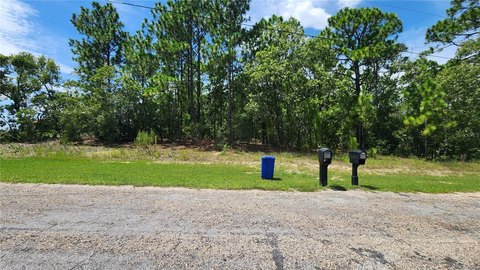 Land, CITRUS SPRINGS, FL