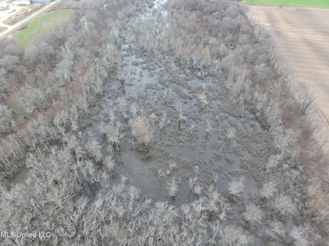 37 Acres Hunting Land, Minter City