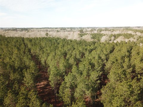 Recreational Timber Tract with Water