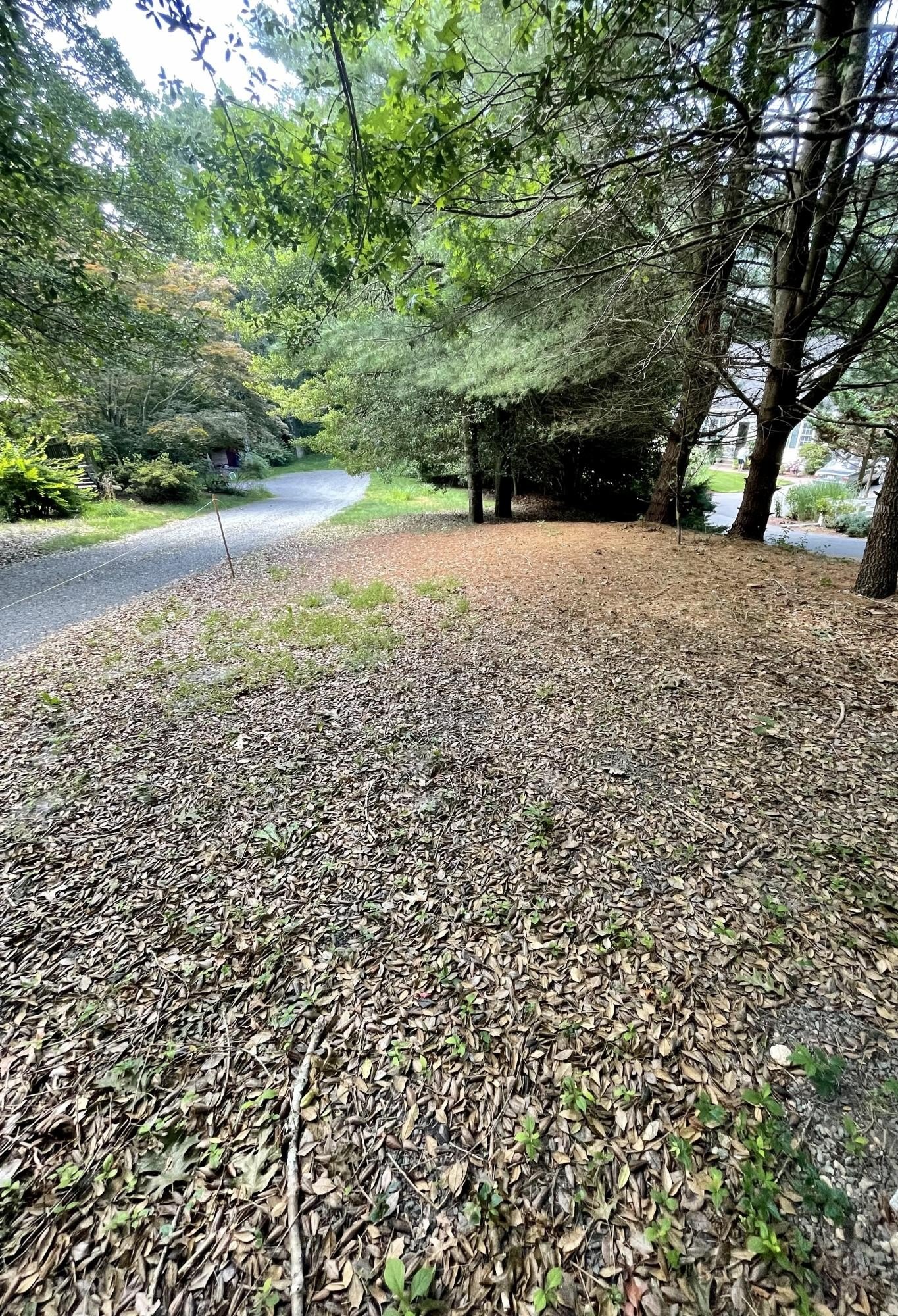 Centerville Buildable Lot Opportunity