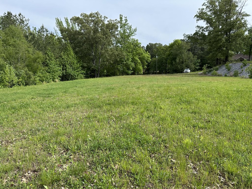 Picture 4