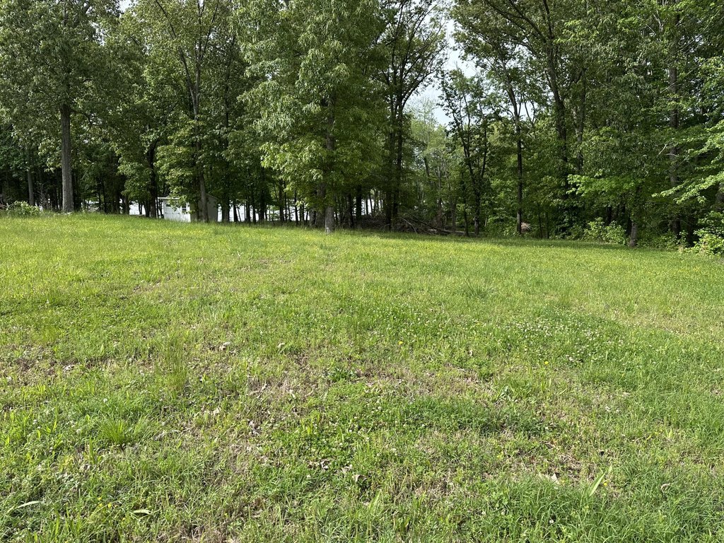 Picture 5