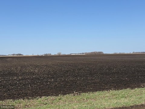 Tilled Farmland with Drain Tile