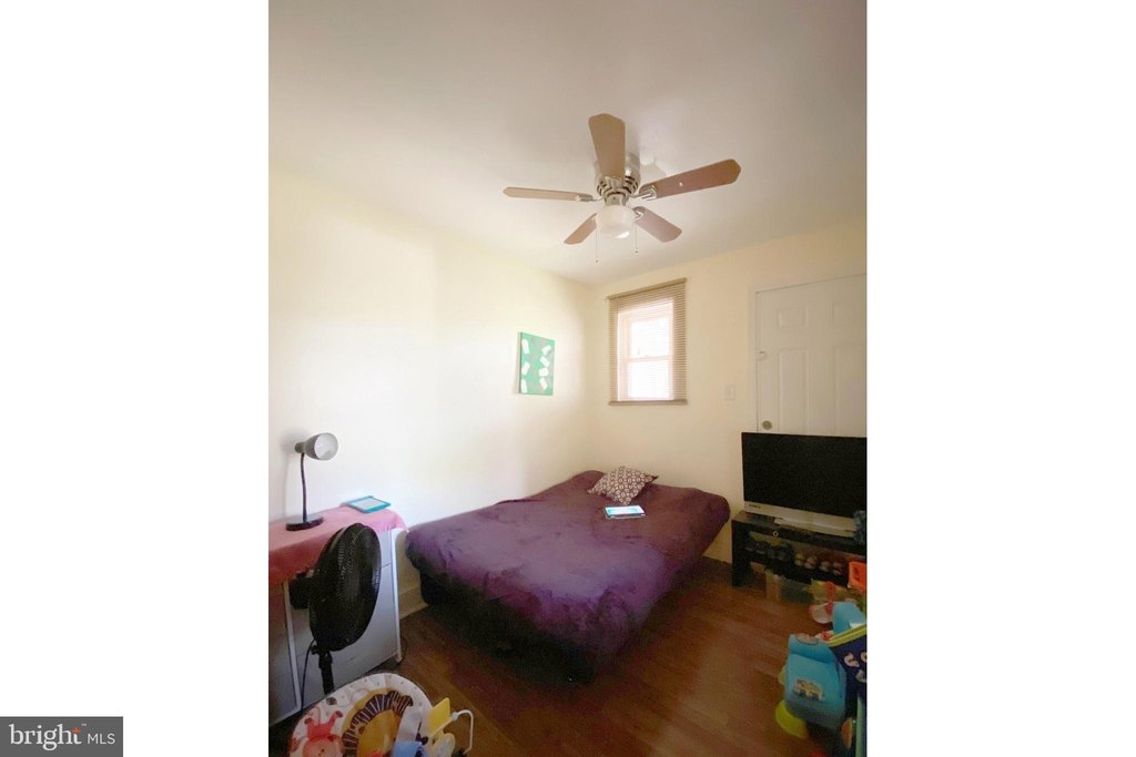 Picture 24