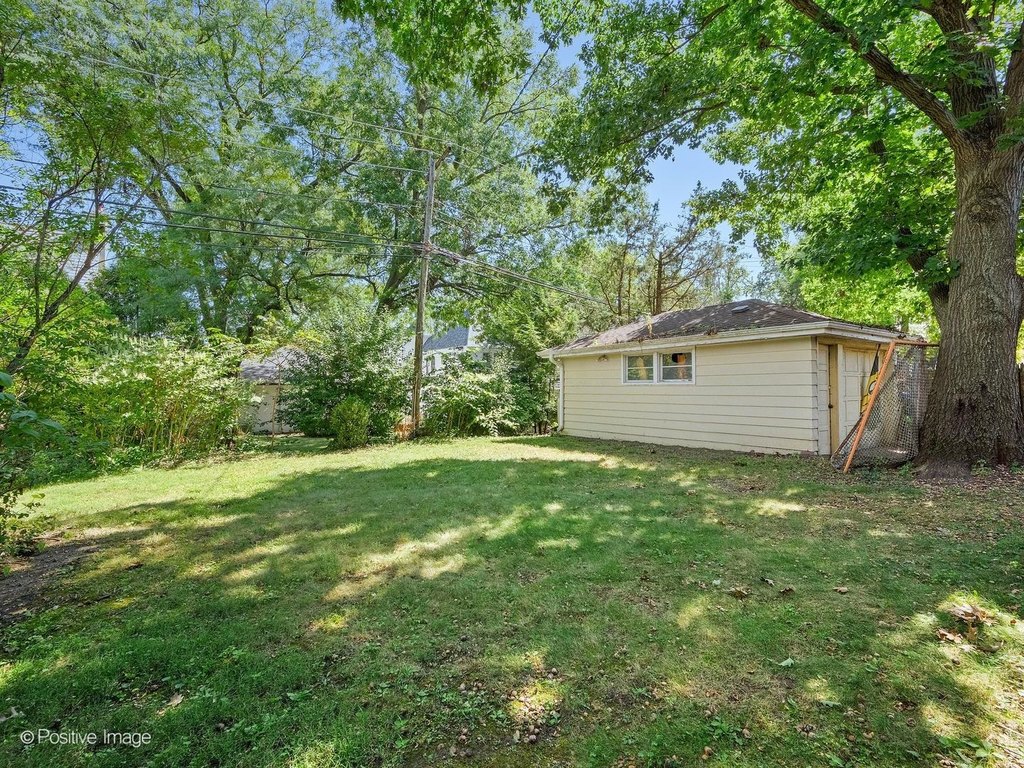 Picture 5