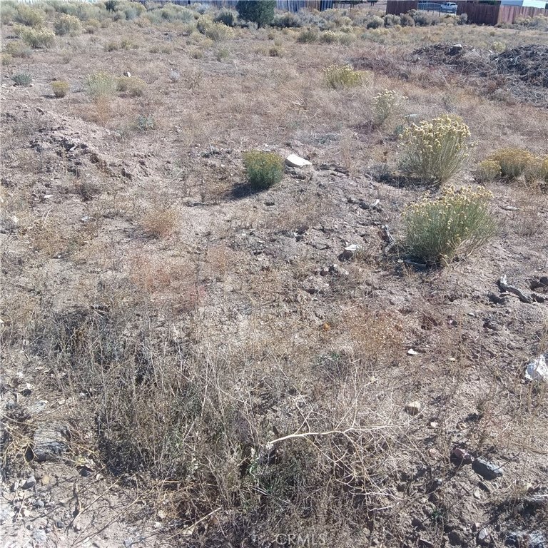 Picture 9