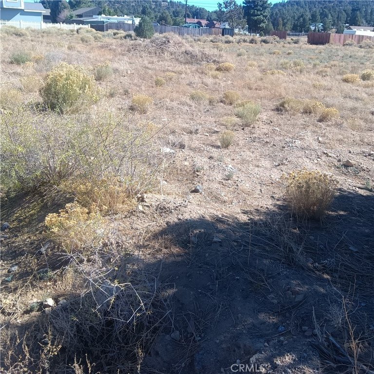 Picture 12