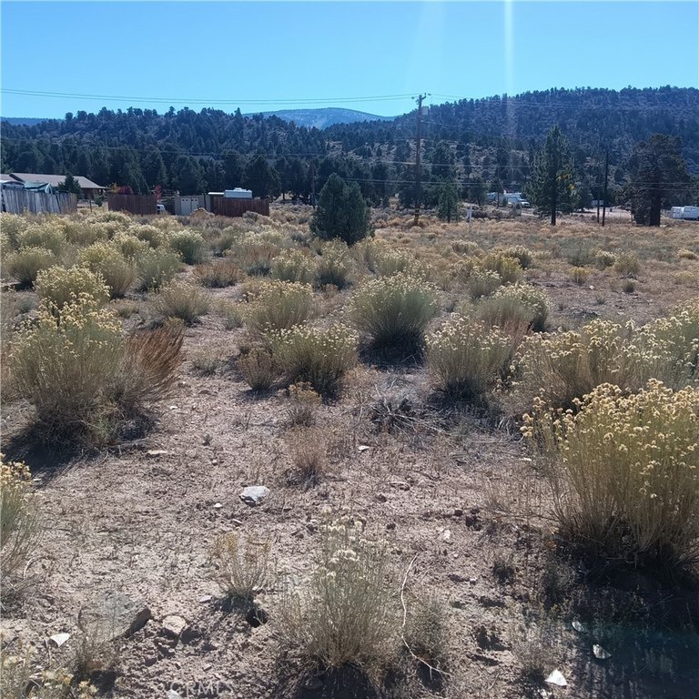 Picture 6