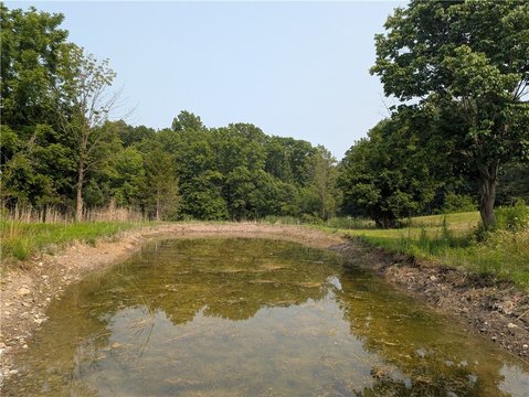 Wooded Land with Pond and Shed