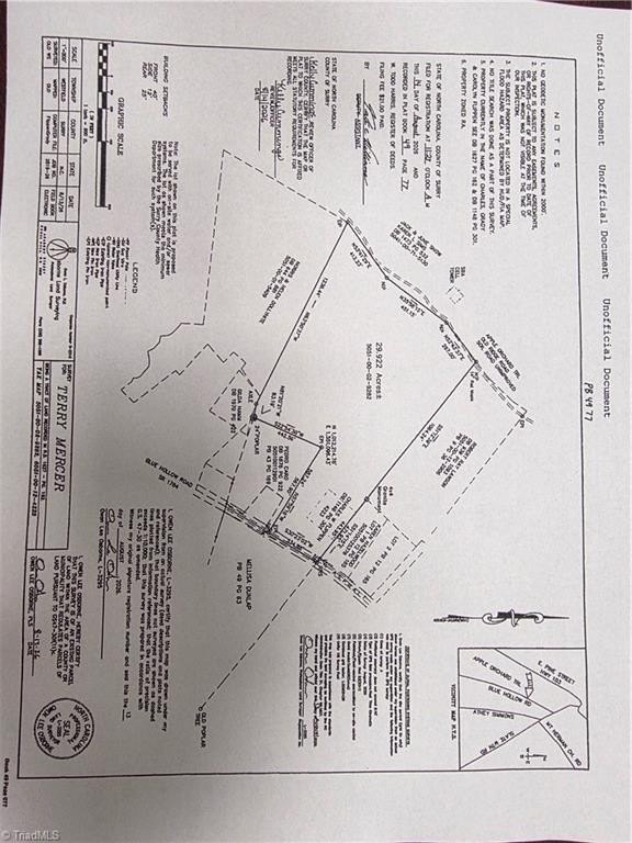 Picture 13