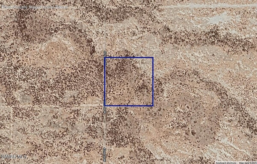 Picture 4
