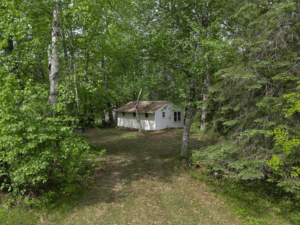 Picture 4