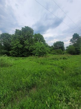 Buildable Lot Near Neillsville