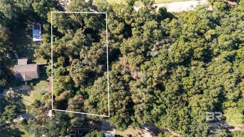 Fairhope Land with Mature Oaks