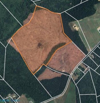 Forty-Five Acre Land Parcel