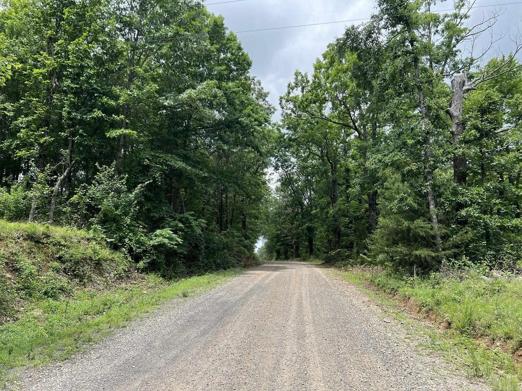 Picture 19